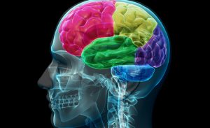 traumatic brain injury lawyer new york