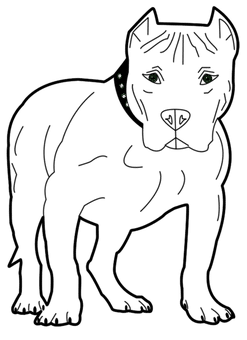 Pit Bull Attacks Woman on Manhattan Subway