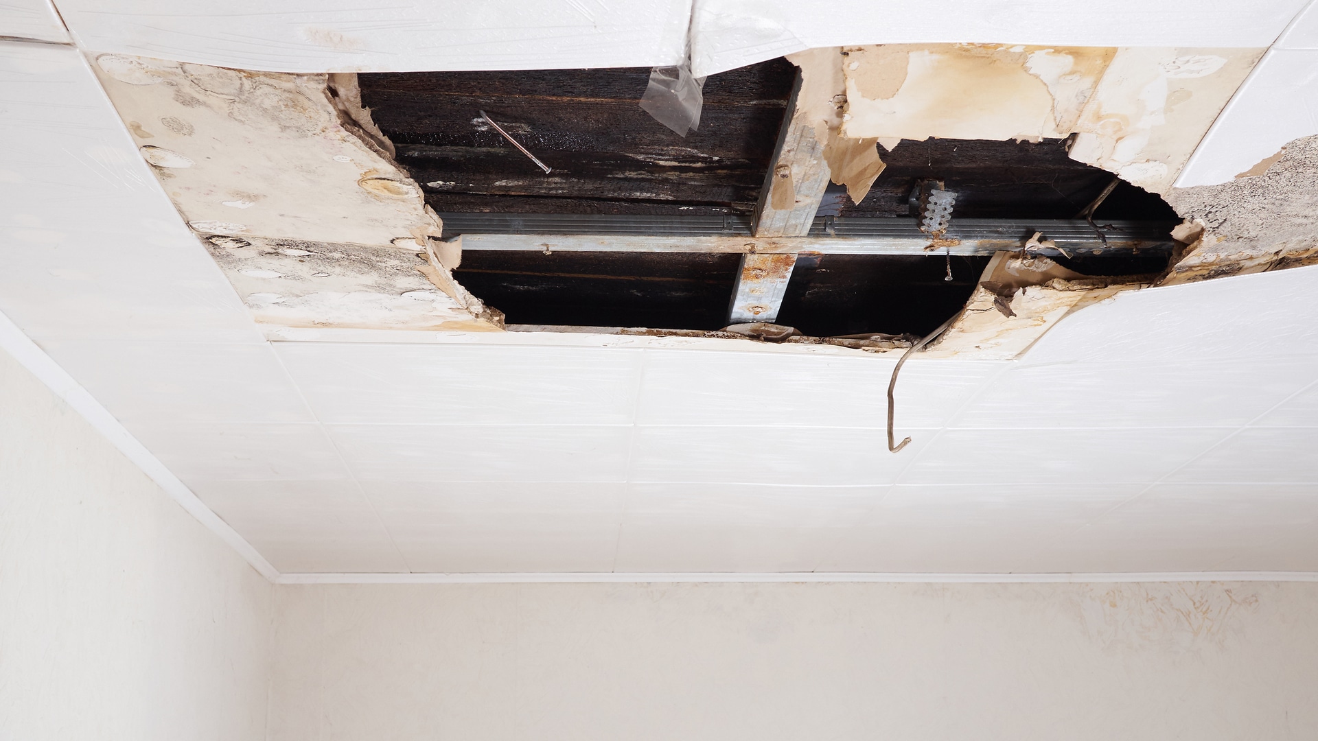 Ceiling Collapse In Rental