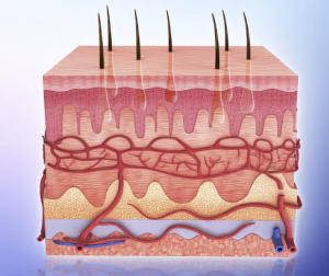 cervical spinal fusion surgery 