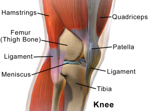 Knee Injury lawyer new york