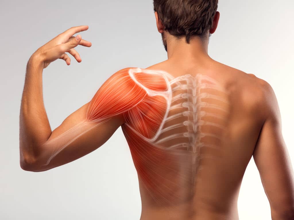 Everything You Need to Know about Rotator Cuff Tear Treatment in NYC